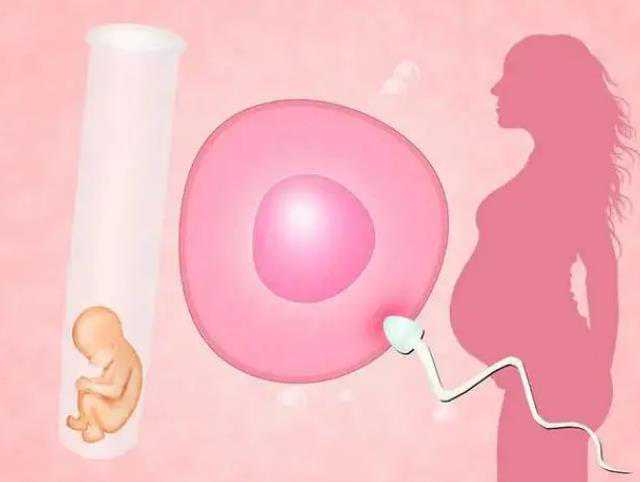 高龄妇女借卵怀孕_36岁三代试管,北京高龄女性供卵试管成功率是多少？
