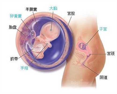 代孕双包胞收费要多少_代孕双胞胎如何收费_河南漯河有做试管的医院吗？