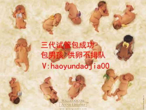 广东试管婴儿第一人陈元本教授追思会在广医三院举办