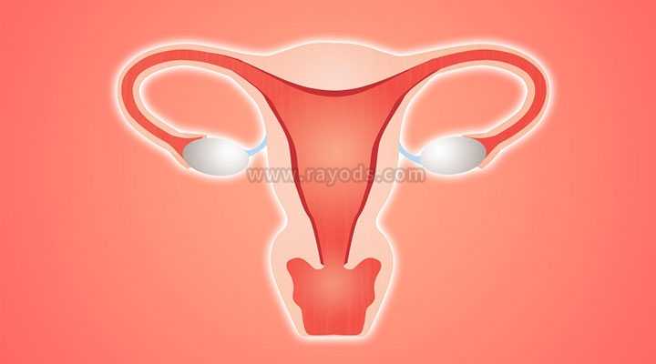 男人代孕哪里可以_代孕试管成功率高吗_子宫内膜薄做试管婴儿移植前做宫腔灌