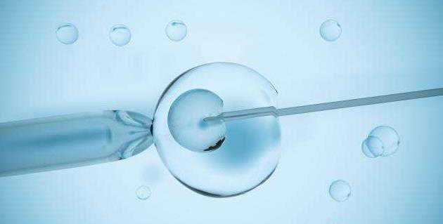 试管婴儿成功率_供卵代孕_试管婴儿用什么方法监测排卵 北京生殖医学中心