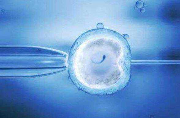 河南供卵生二胎 2022年最新版河南省试管助孕机构排名 ‘b超单数据看男女’
